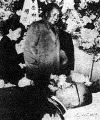 陈毅和毛 陈毅和毛