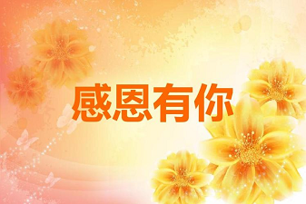 图片14.png